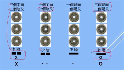 龜卦和美|龜卦教學